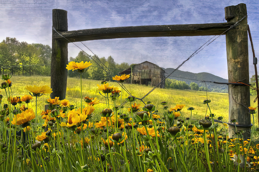 Summerfield Elementary and the Enduring Appeal of Pastoral Landscape Art