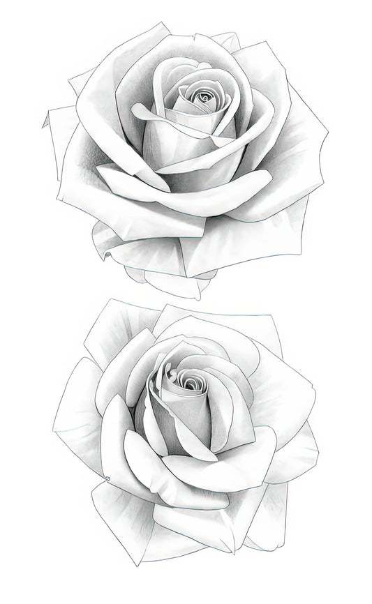 The Art and Enduring Appeal of a Vines and Roses Drawing