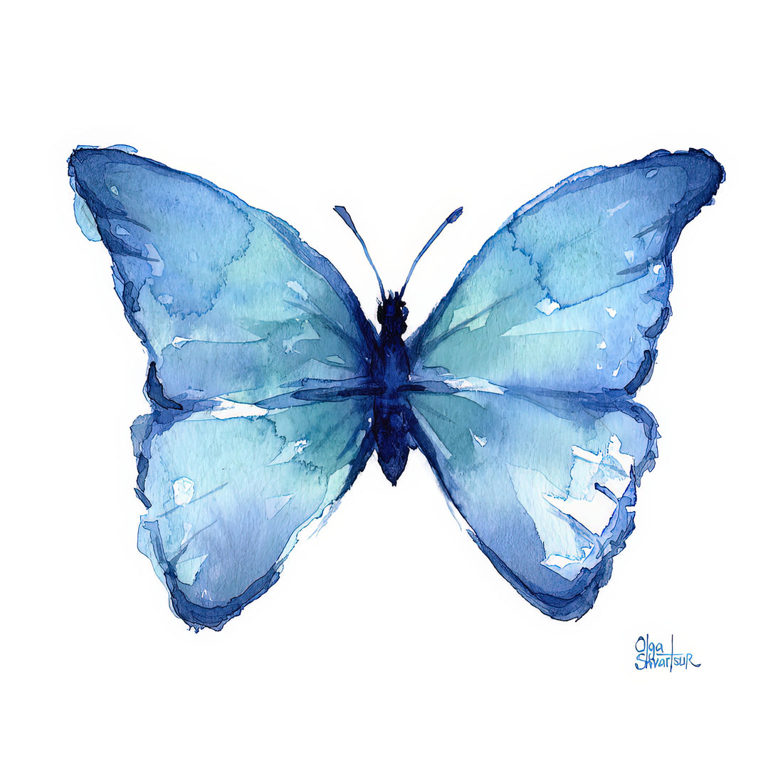 The Enduring Elegance of the Simple Watercolor Butterfly: History, Aesthetics, and Display