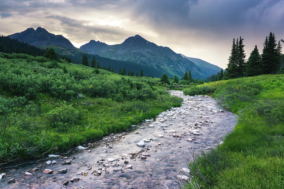 The Mountain Scenes: A Curatorial Perspective on Landscape Art
