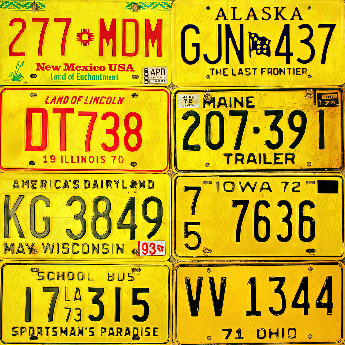 The Visual History and Curatorial Significance of the Yellow Black License Plate