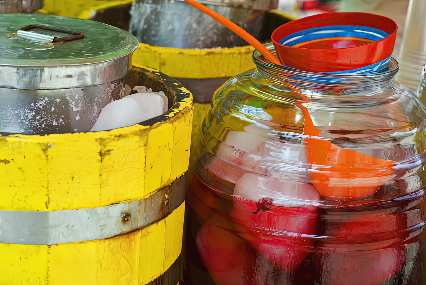 Agua de Hamaica Fine Art Print | TotalUSAMagazine