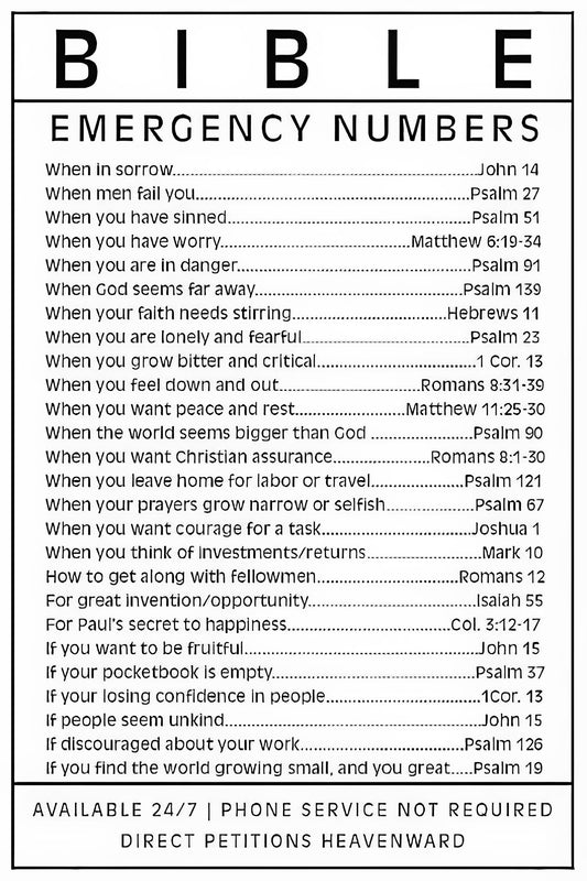 Bible 911 Verses Fine Art Print | TotalUSAMagazine