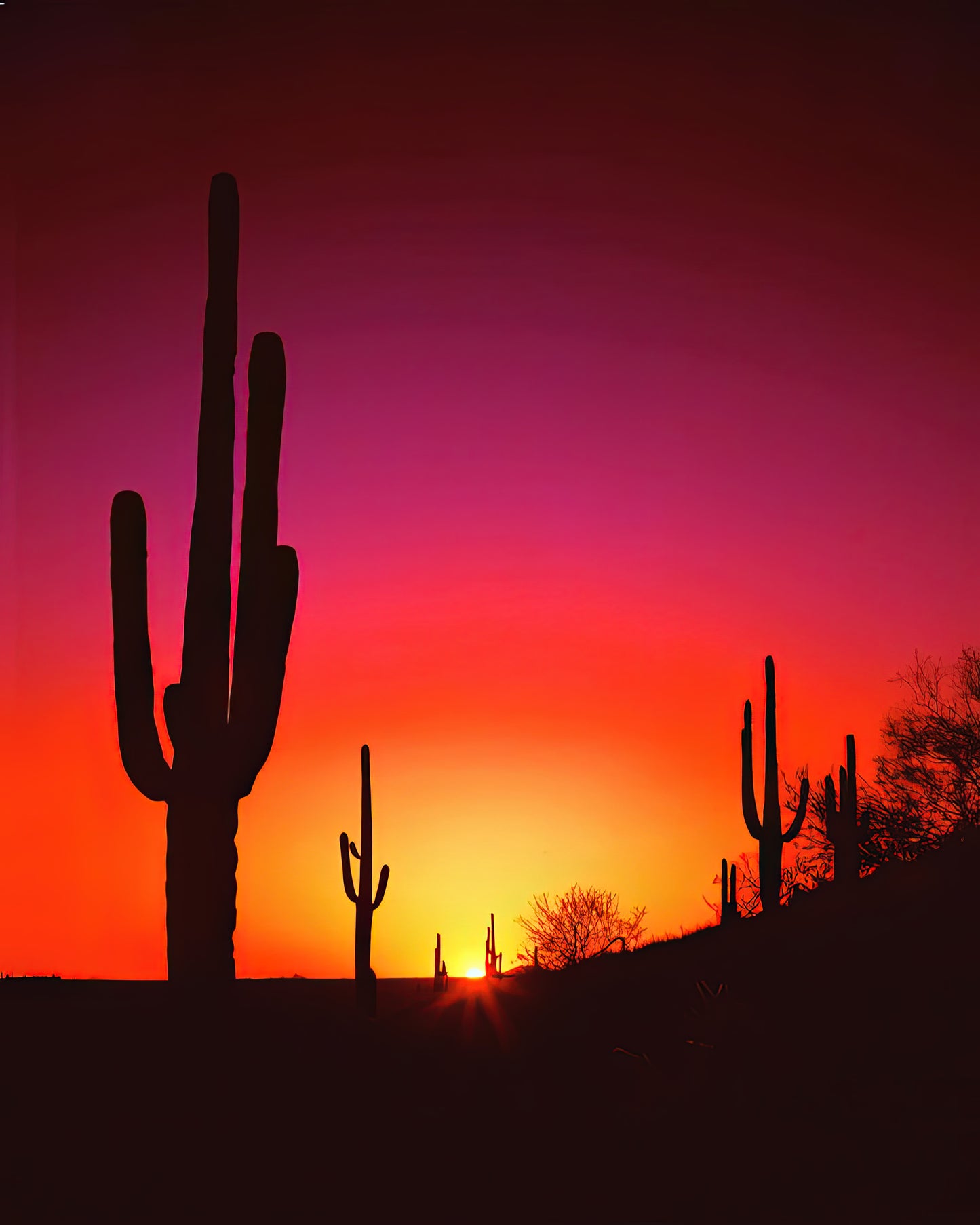 Desert Sunset Art Print | Museum-Quality Reproduction | TotalUSAMagazine