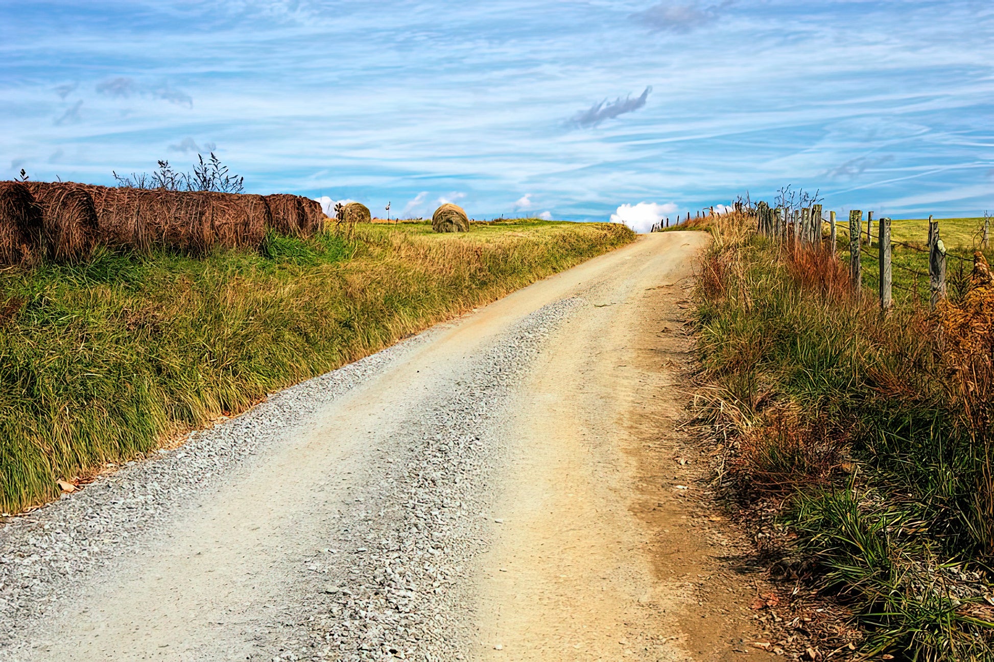 Farm Road Landscape Print | Museum-Quality Art | TotalUSAMagazine
