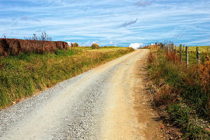 Farm Road Landscape Print | Museum-Quality Art | TotalUSAMagazine