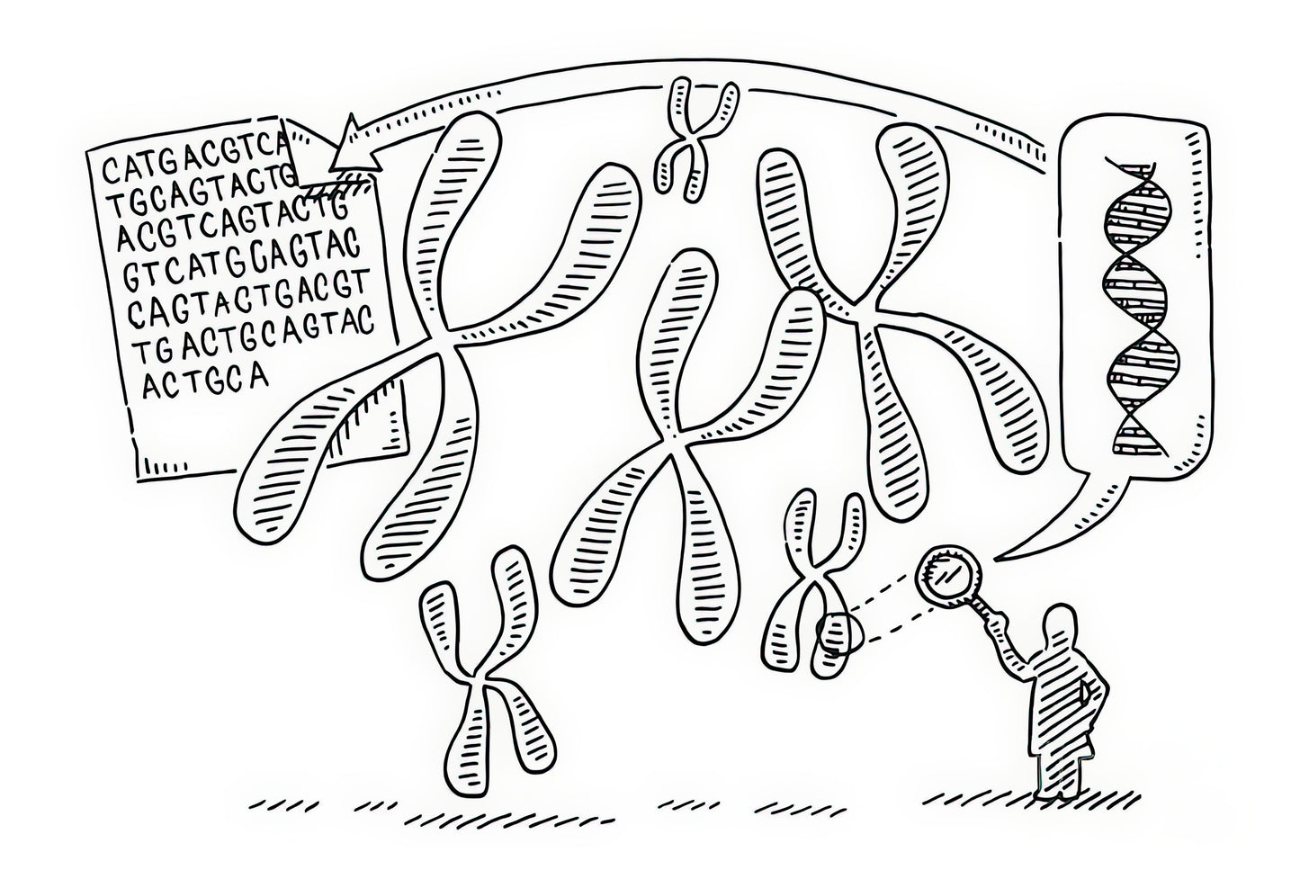 Genome Drawing Art Print | Museum Quality Prints | TotalUSAMagazine