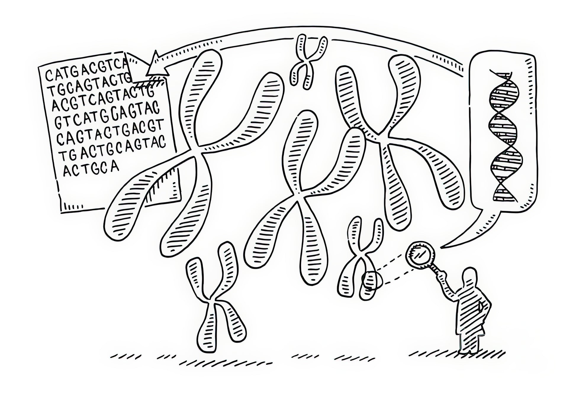 Genome Drawing Art Print | Museum Quality Prints | TotalUSAMagazine