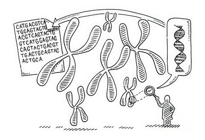 Genome Drawing Art Print | Museum Quality Prints | TotalUSAMagazine