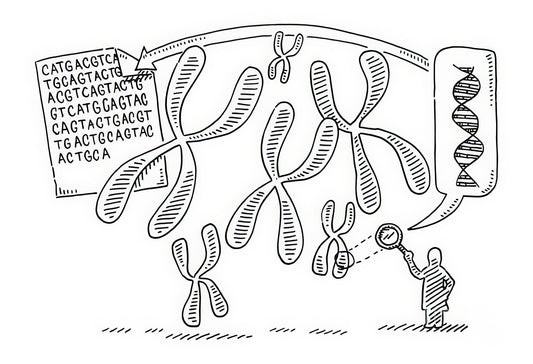 Genome Drawing Art Print | Museum Quality Prints | TotalUSAMagazine