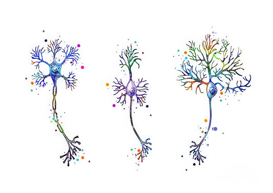 Neuron Art Watercolor Print | Scientific Wall Art | TotalUSAMagazine