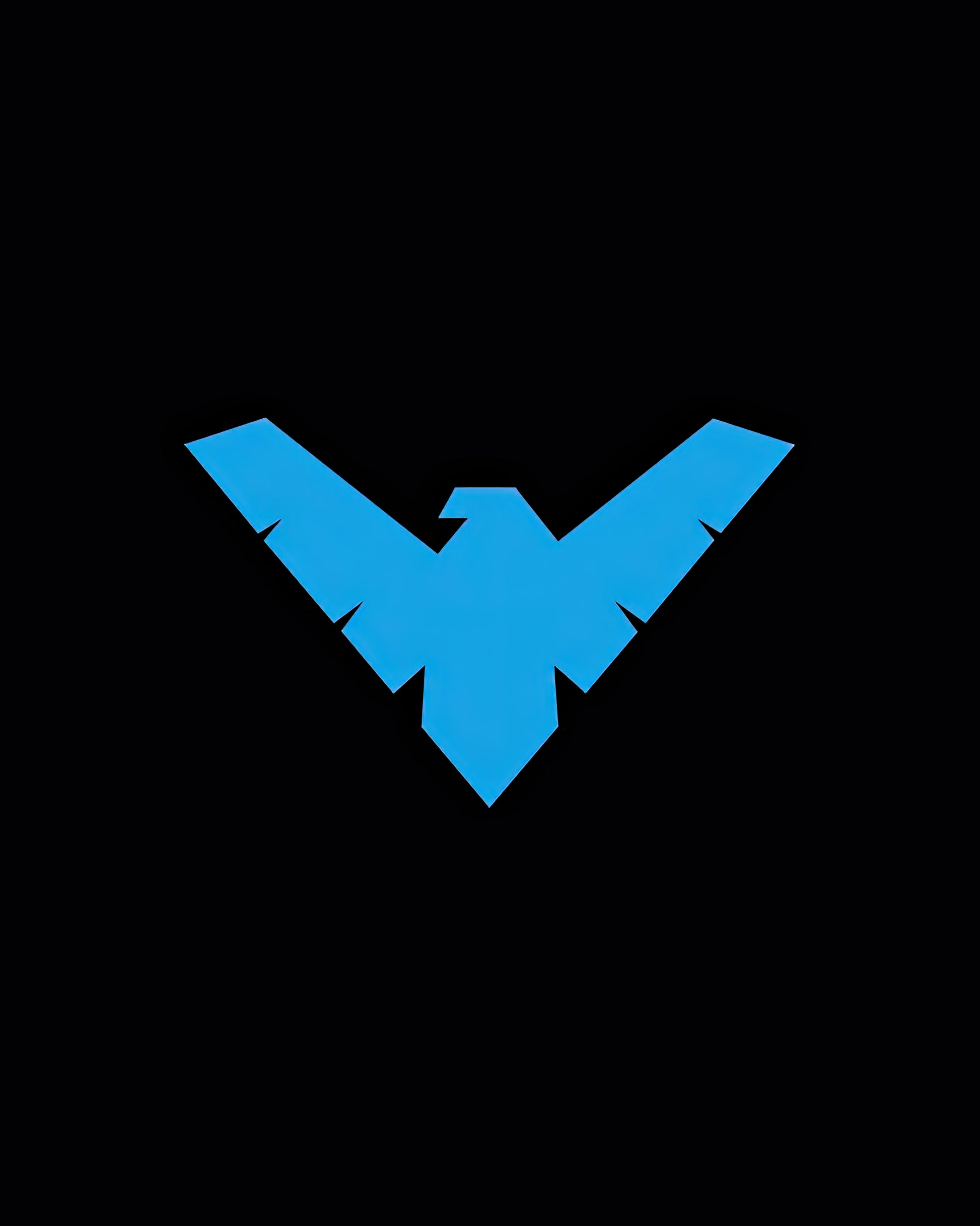 Nightwing Logo: DC Comics Symbol Art Print | TotalUSAMagazine