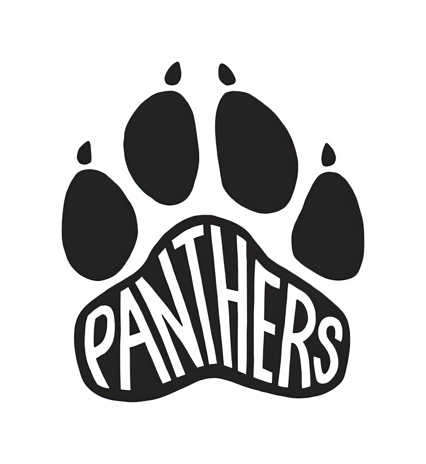 Panther Paws Fine Art Print | Wildlife Texture Study | TotalUSAMagazine