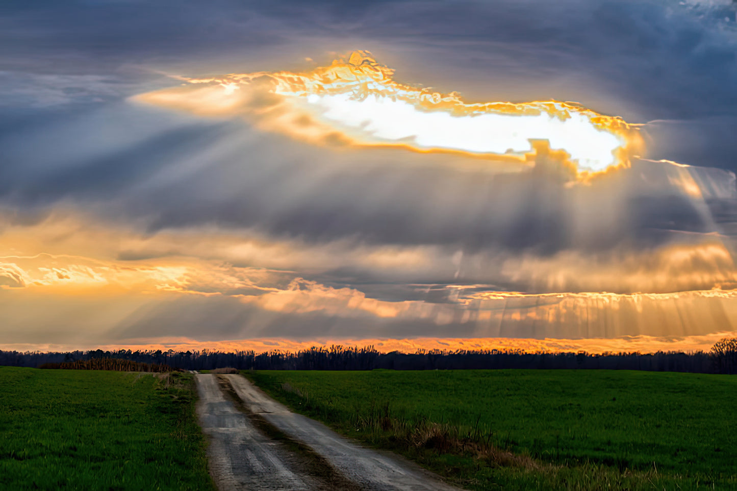 Sunshine and Clouds Art Print | TotalUSAMagazine