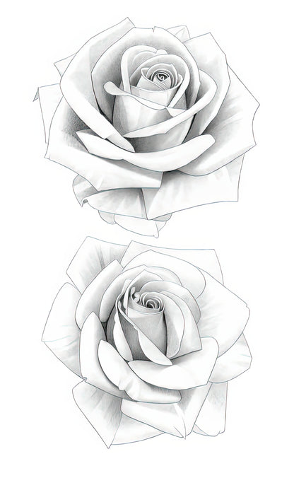 Two Roses Pencil Drawing Art Print | Fine Art Sketch | TotalUSAMagazine