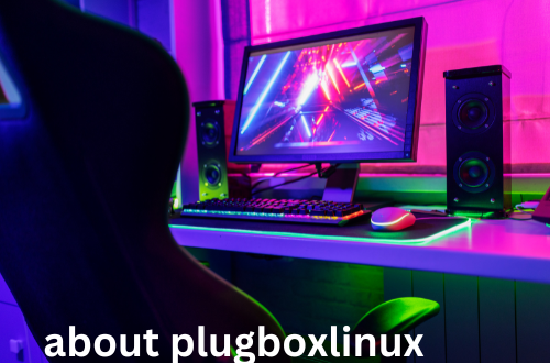 Linux is considered a very flexible OS and, therefore, there is an almost unlimited selection of distributions (distros) compatible with it. Of them, it is possible to note that PlugboxLinux