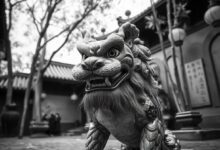 also known as Fu Lions or Shishi, are Foo Dog fascinating creatures that blend mythology, culture, and art. Despite their name, Foo Dogs are not dogs at all but rather stylized lion statues.