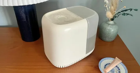 Canopy Humidifier